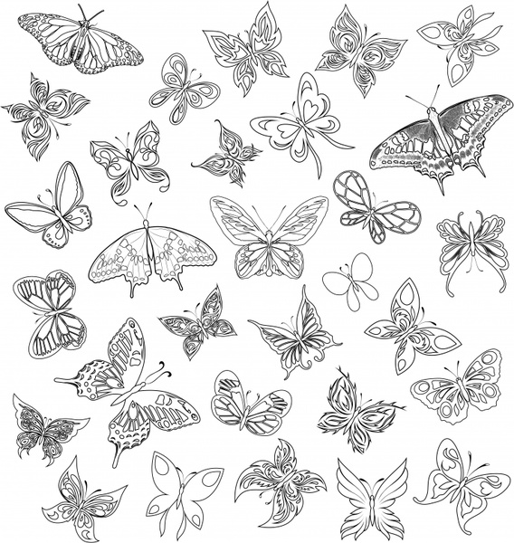 568x600 Species Of Butterflies Vector Free Vector In Encapsulated
