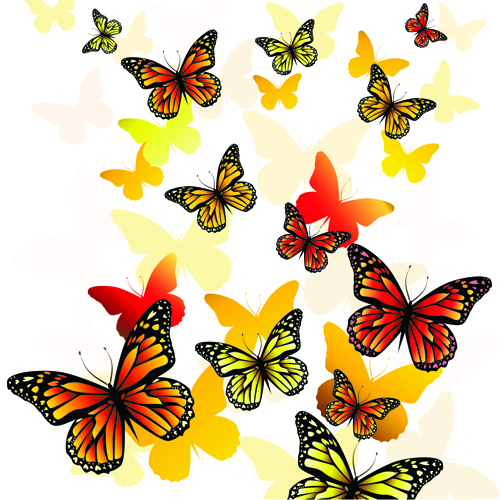 500x500 Beautiful Butterfly Vector Material Free Download