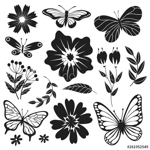 500x500 Butterfly Flowers Vector