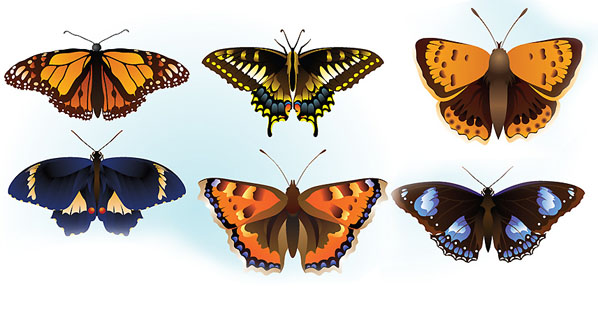 598x312 Free Butterfly Vector Free Vectors Ui Download