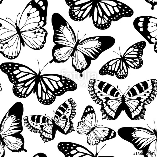 500x500 Beautiful Butterfly Vector Seamless Pattern Stock Image