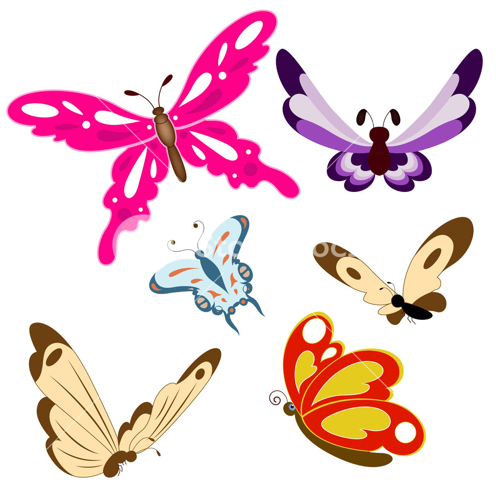 1000x1000 Butterflies Vectors Royalty Free Stock Image