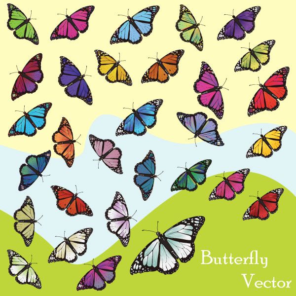 600x600 Butterfly Vector Art Resources Vectors Vector Art, Free