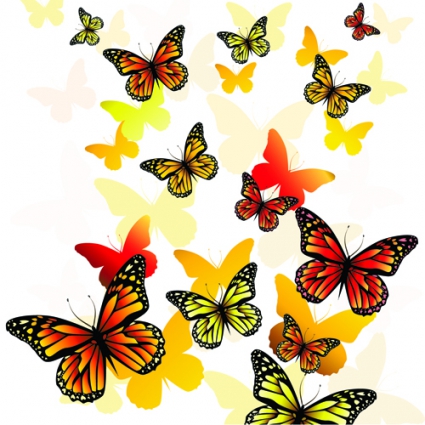 425x425 Beautiful Butterfly Vector Free Vectors Ui Download