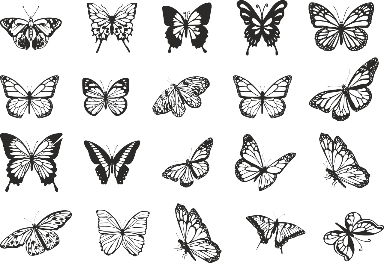1280x878 Butterflies Vector Set Free Vector Download In Cdr