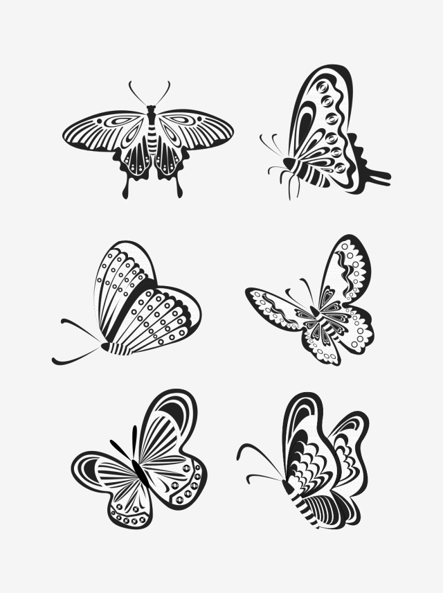 640x856 Butterfly Vector, Butterfly Vector Illustration, Butterfly, Flower