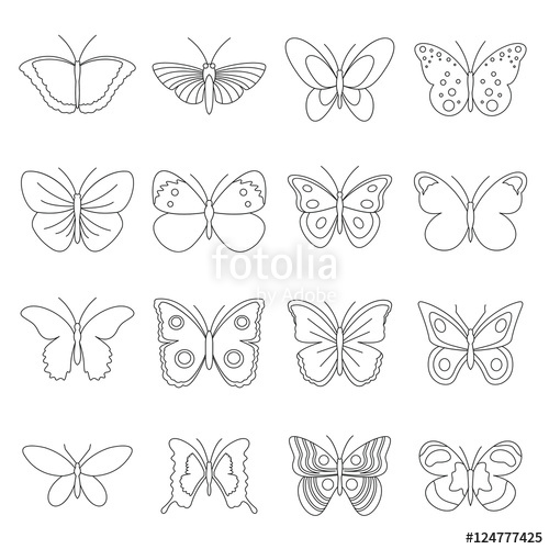 Butterfly Icons Set Outline Illustration Of Butterfly Vector 500x500 Butterfly Icons Set Outline Illustration Of Butterfly Vector