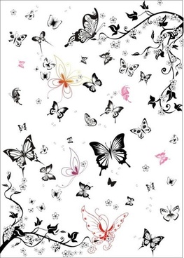 Butterfly Outline Free Vector Download 263x368 Butterfly Outline Free Vector Download