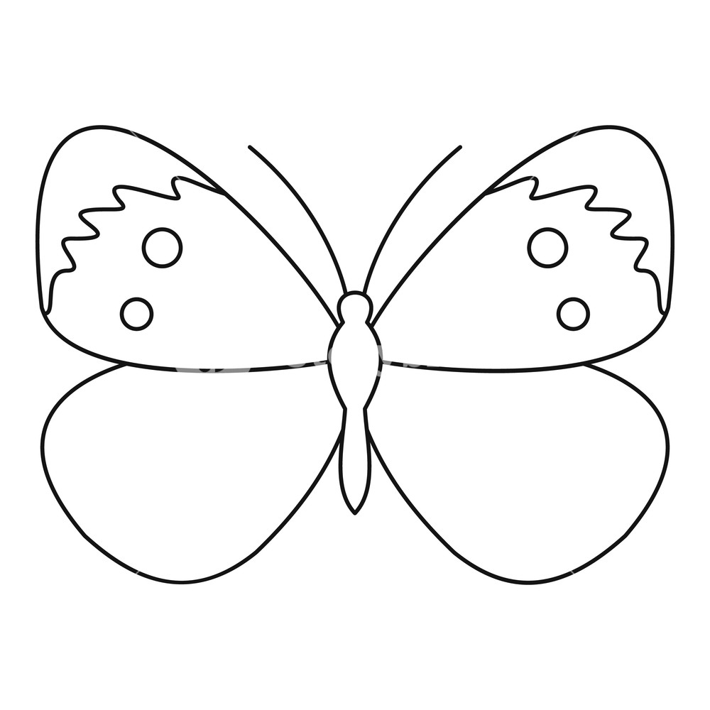 Copper Butterfly Icon Outline Illustration Of Copper Butterfly 1000x1000 Copper Butterfly Icon Outline Illustration Of Copper Butterfly