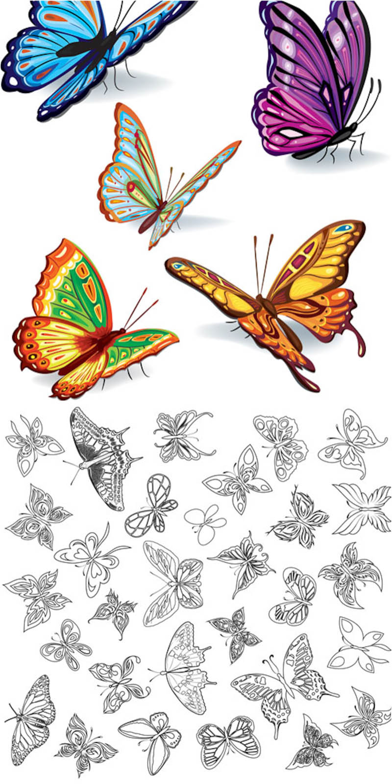 Butterflies Vector Free Stock Vector Art Illustrations 800x1600 Butterflies Vector Free Stock Vector Art Illustrations
