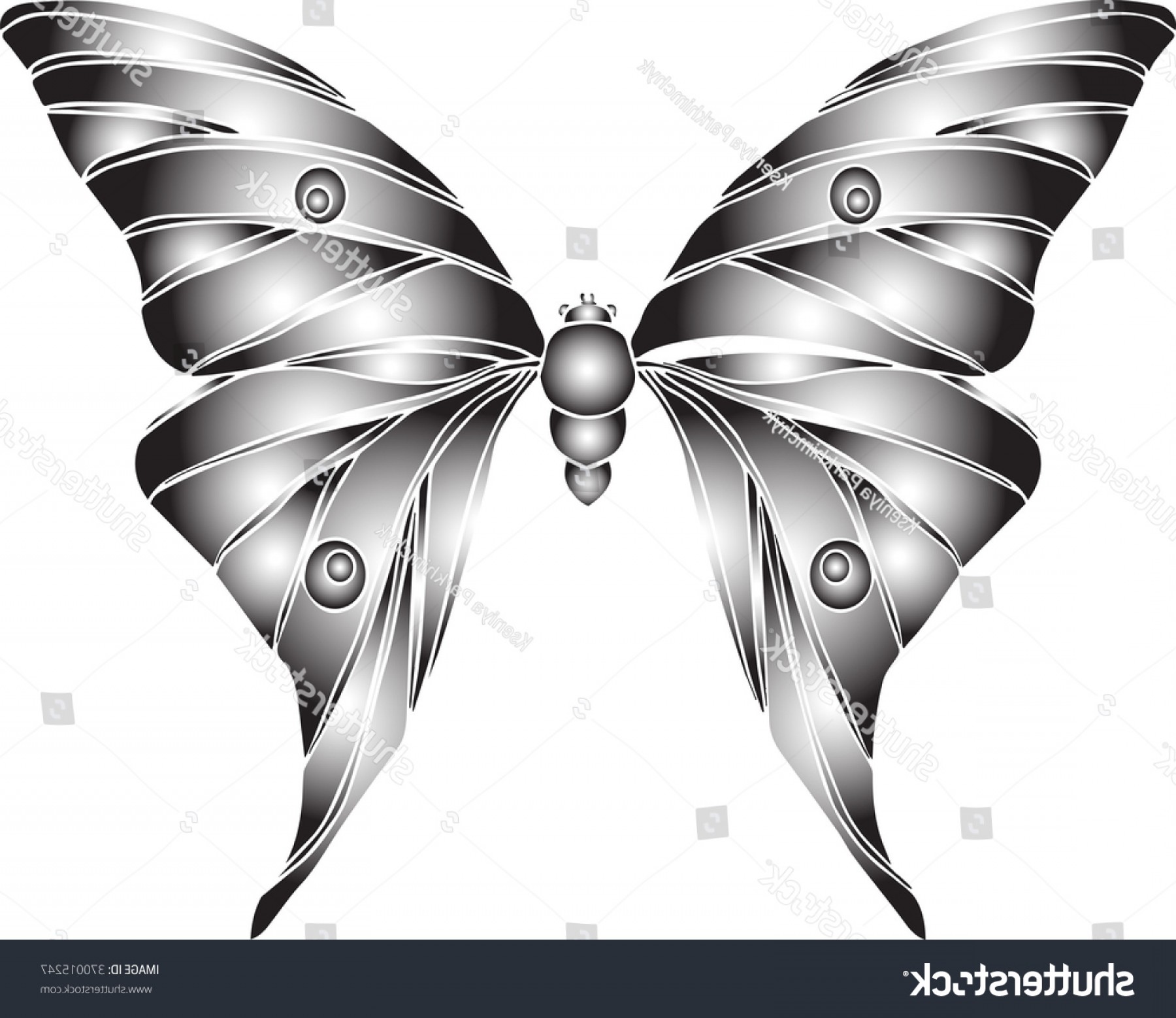 Hand Drawn Ornamental Butterfly Vector Outline Createmepink 1800x1558 Hand Drawn Ornamental Butterfly Vector Outline Createmepink