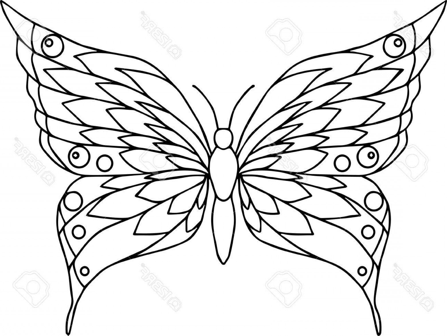 Apogee outline Butterfly