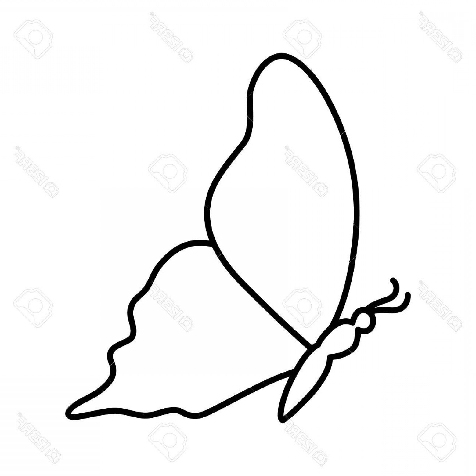 Side Butterfly Outline Vector Catchsplace 1560x1560 Side Butterfly Outline Vector Catchsplace