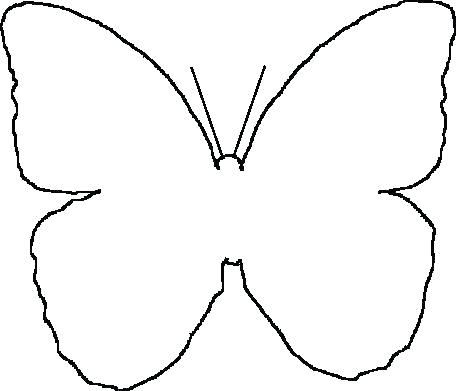 Simple Butterfly Outline Contemporary 456x391 Simple Butterfly Outline Contemporary