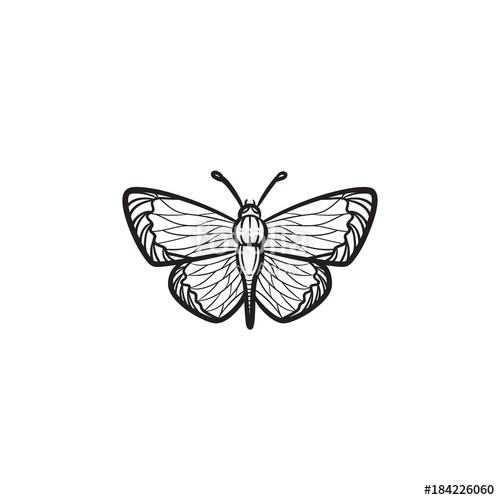 Vector Hand Drawn Butterfly Outline Doodle Icon Butterfly Sketch 500x500 Vector Hand Drawn Butterfly Outline Doodle Icon Butterfly Sketch