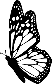Butterfly Vector Paint 178x284 Butterfly Vector Paint