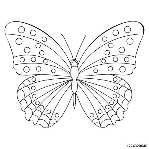 Coloring Book Butterfly 500x500 Coloring Book Butterfly