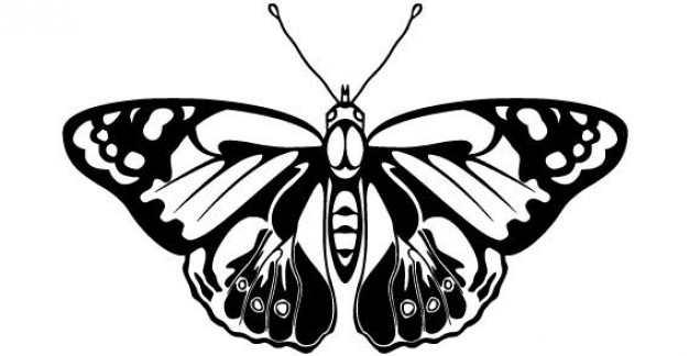 Butterfly Outline Vectors, Photos And Free Download 626x324 Butterfly Outline Vectors, Photos And Free Download