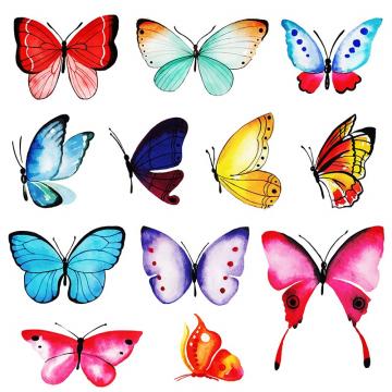 360x360 Butterfly Vector Png, Vector, And Clipart With Transparent