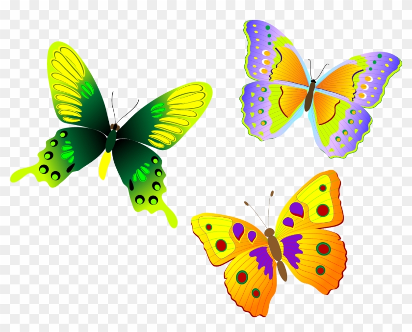 Butterfly Vector Png at Vectorified.com | Collection of Butterfly ...