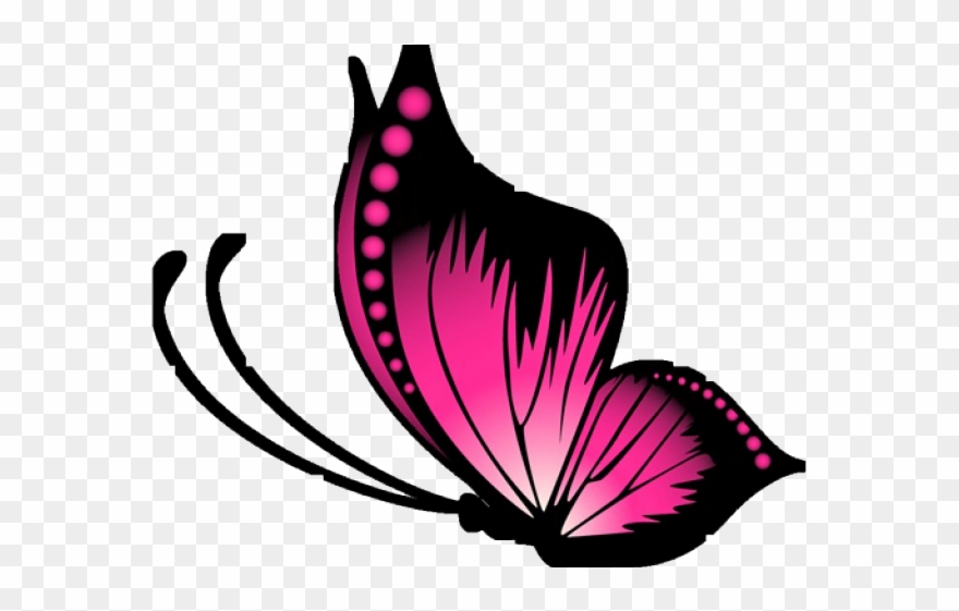 Download Butterfly Vector Png at Vectorified.com | Collection of ...