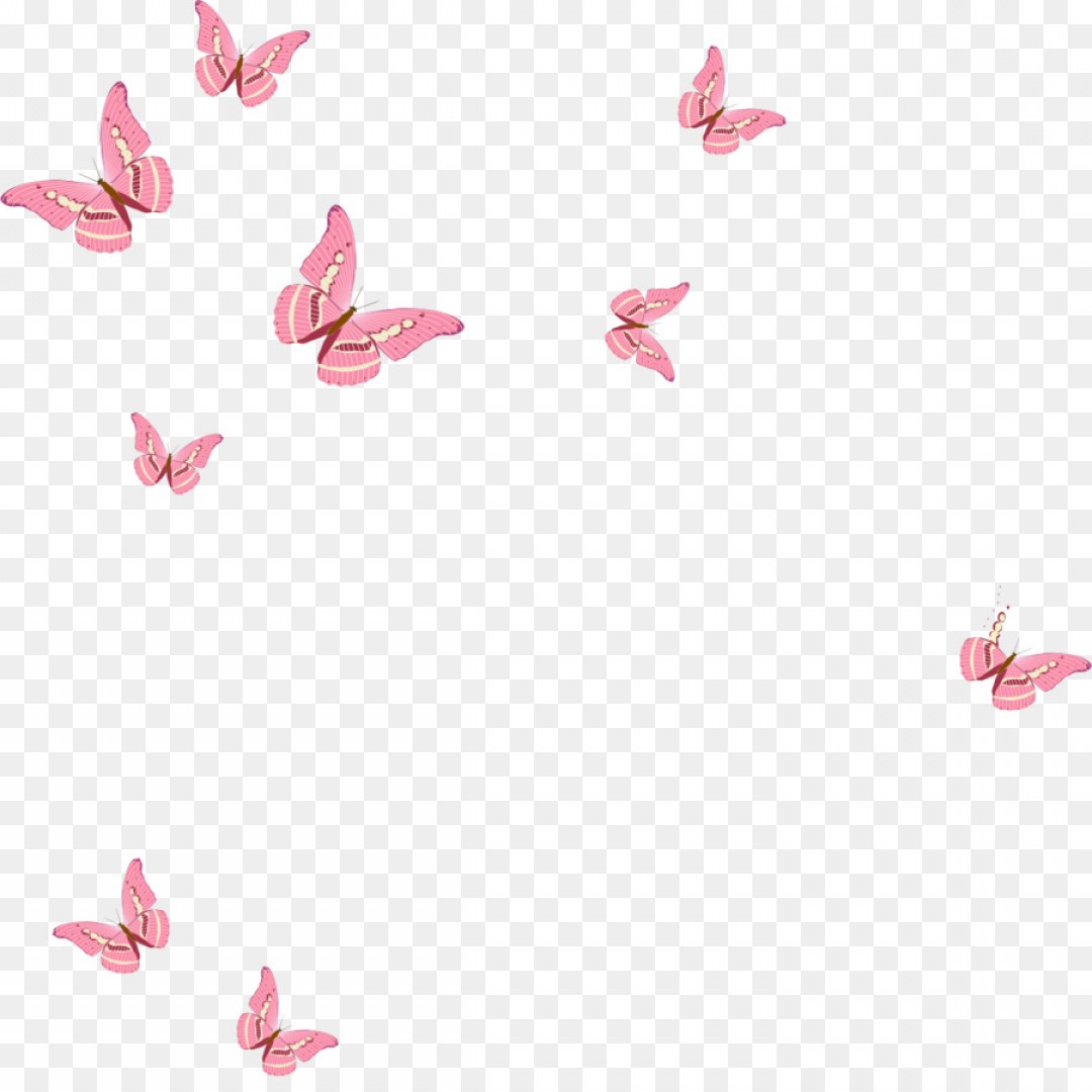 1080x1080 Png Butterfly Euclidean Vector Pink Butterfly Hoodamathrun