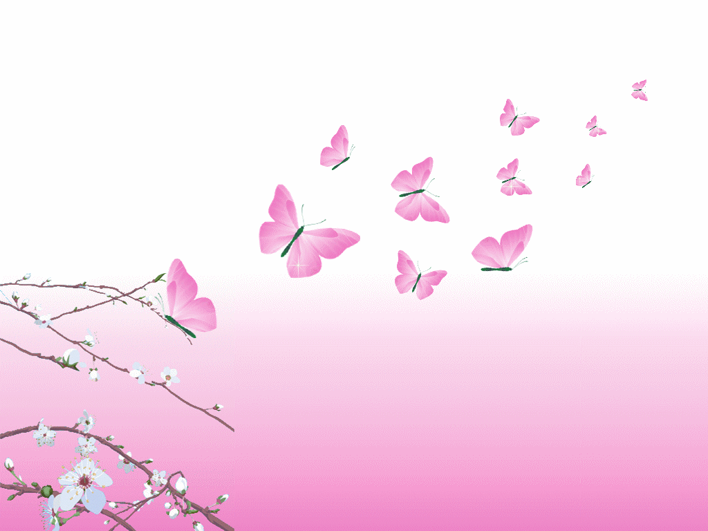 Free Download Pink Butterfly Design Hd Wallpaper Vector Designs 1024x768 Free Download Pink Butterfly Design Hd Wallpaper Vector Designs