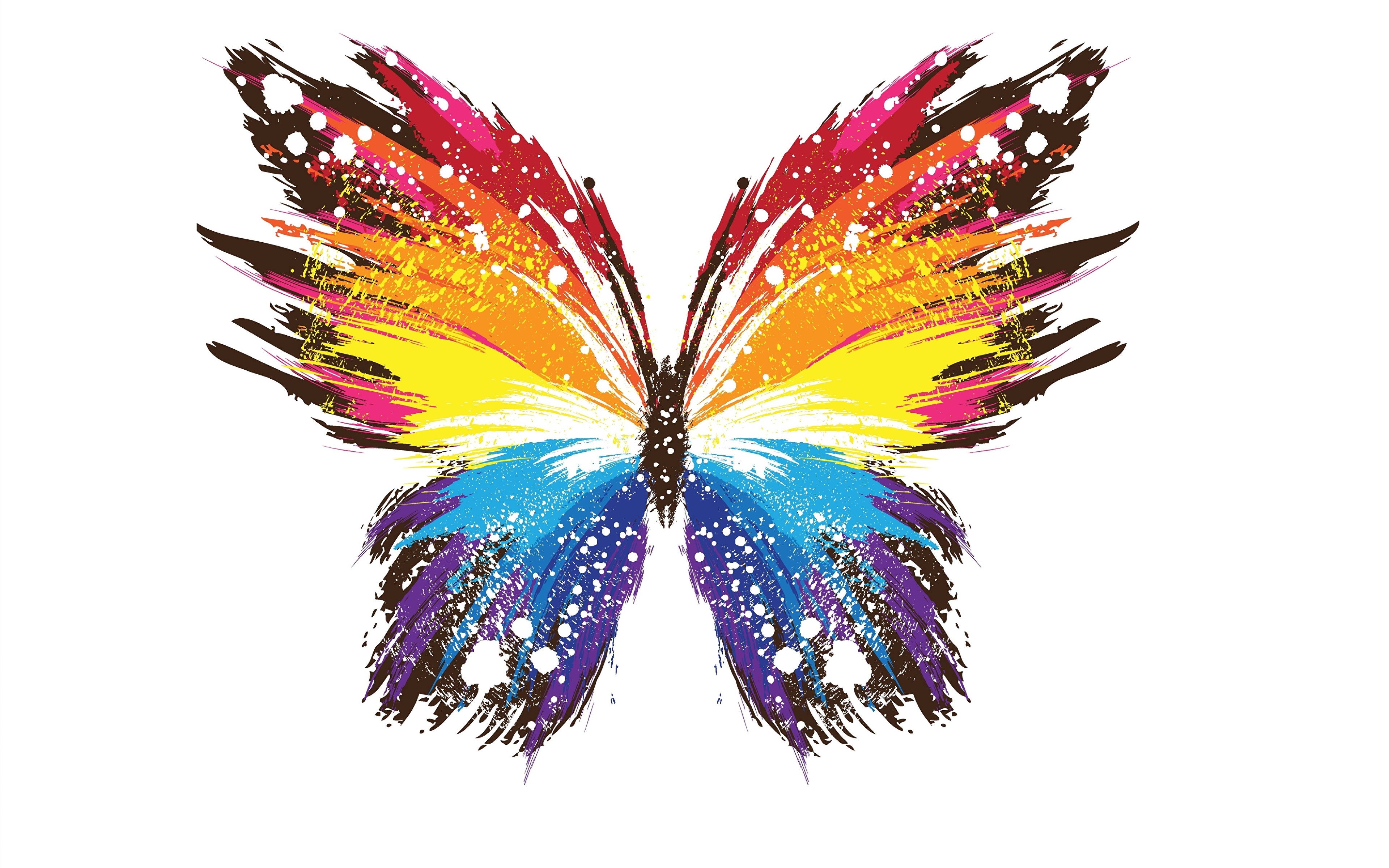 Wallpaper Butterflies Animals Vector Graphics 3840x2400 Wallpaper Butterflies Animals Vector Graphics