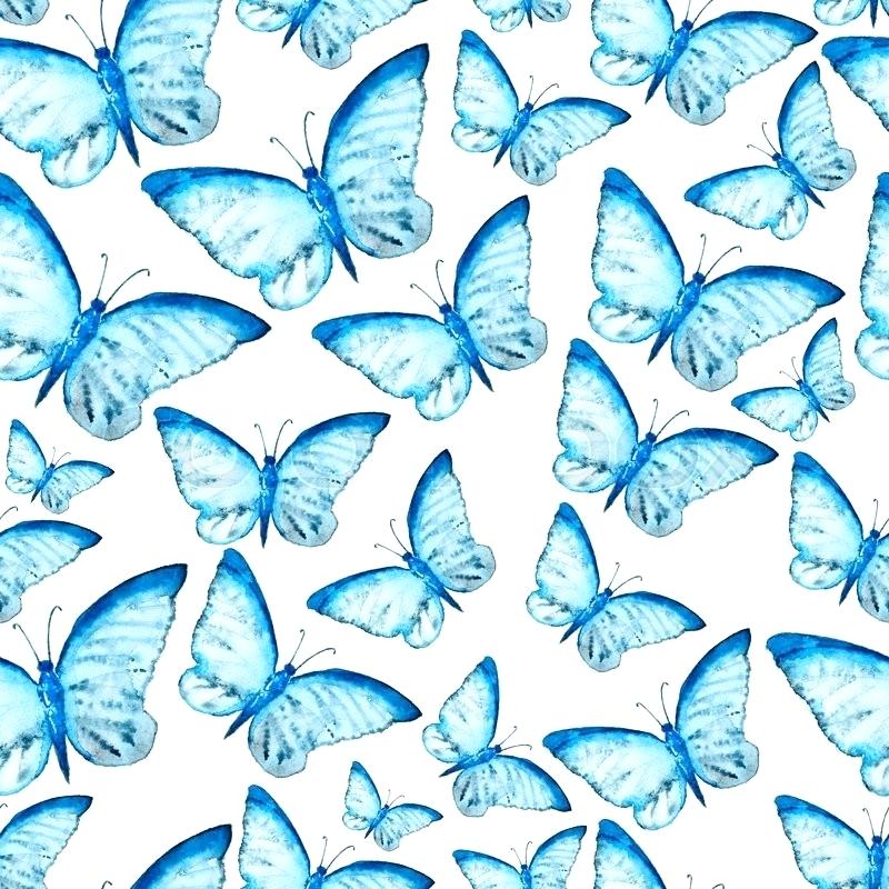 Butterfly Wallpaper Vector Design Cute 800x800 Butterfly Wallpaper Vector Design Cute