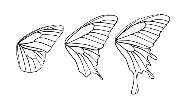 600x338 Butterfly Clip Art Butterfly Wing