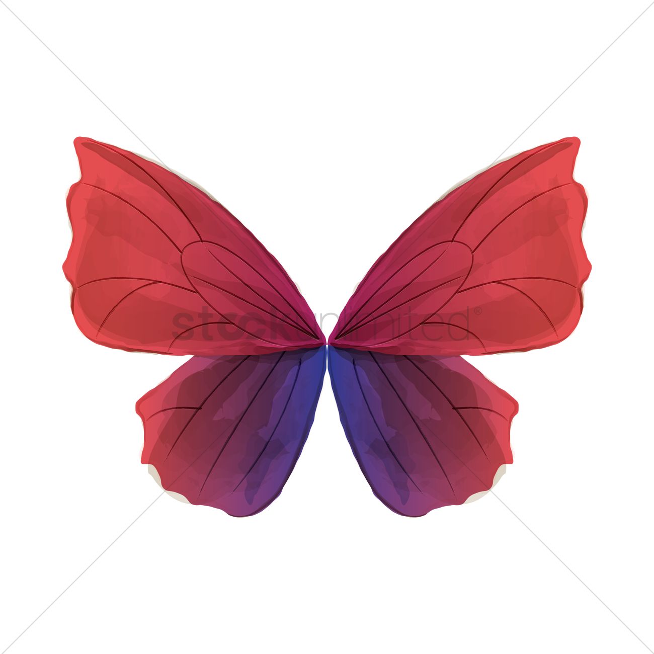 1300x1300 Butterfly Wings Vector Image