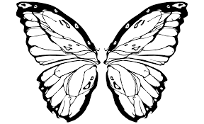 288x175 Collection Of 'butterfly Wings Drawing' Download More Than