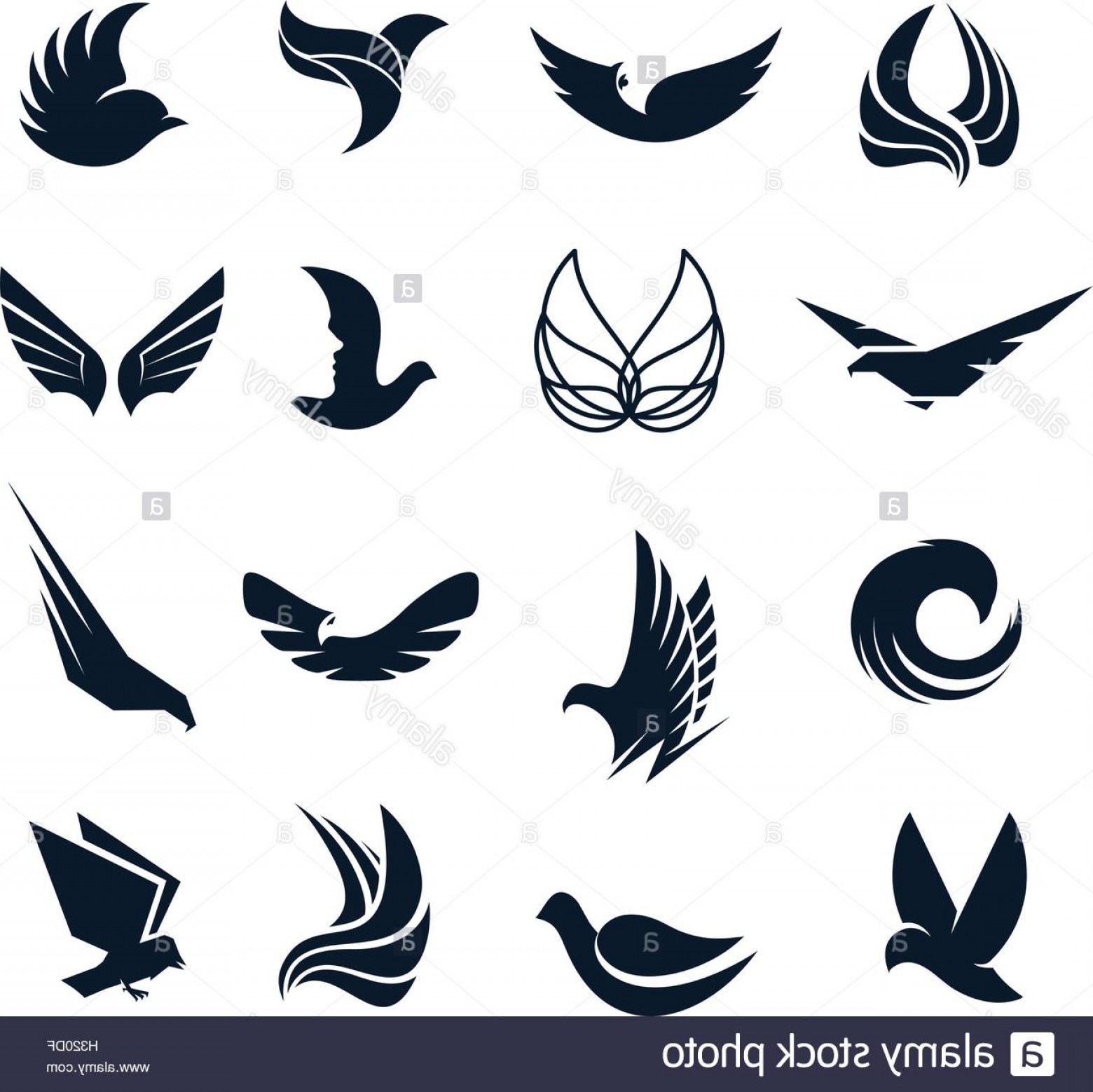 1560x1558 Stock Photo Isolated Abstract Black And White Birds Butterflies