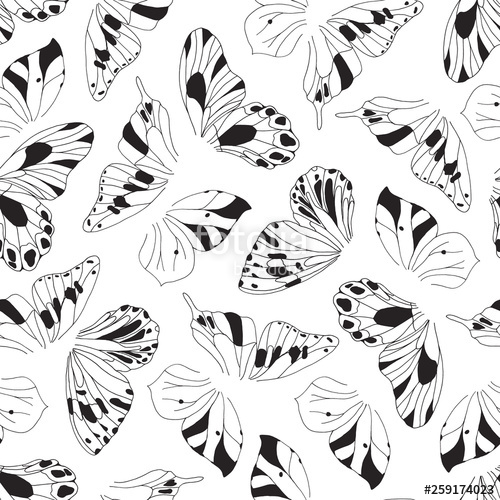 500x500 Artistic Hand Drawn Graphic Butterfly Wings Vector Seamless