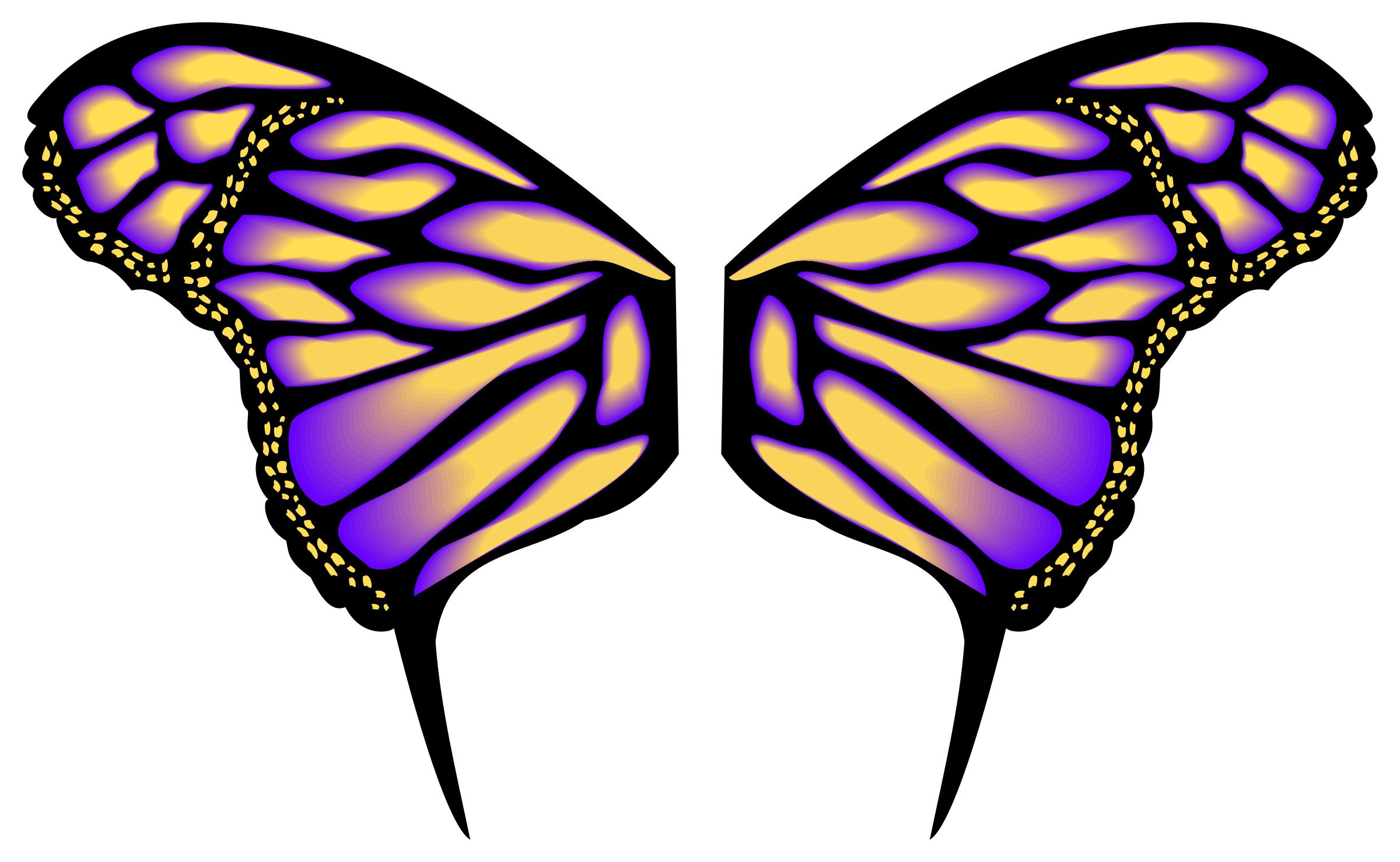 2400x1479 Asas De Borboleta Vetor