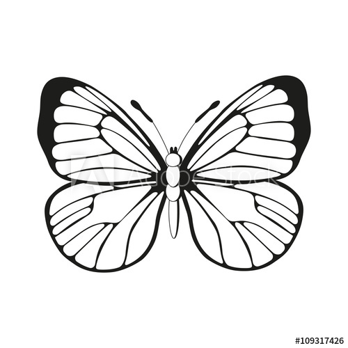 500x500 Silhouette Butterfly Black And White Butterfly Pattern Vector
