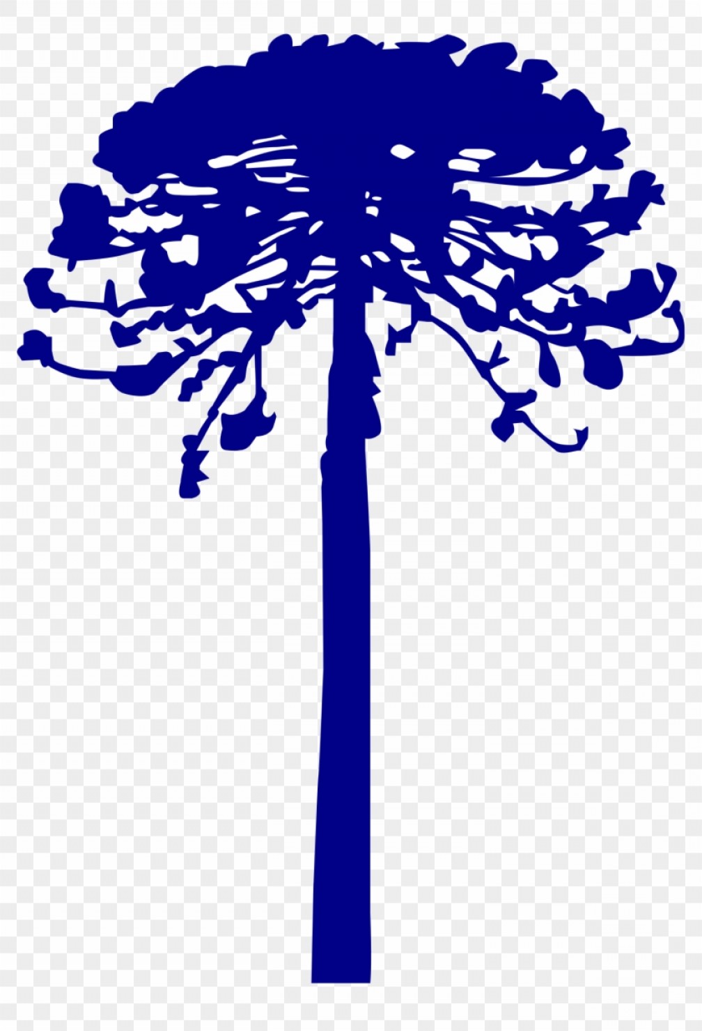 1008x1479 Cd Vector Clip Soidergi