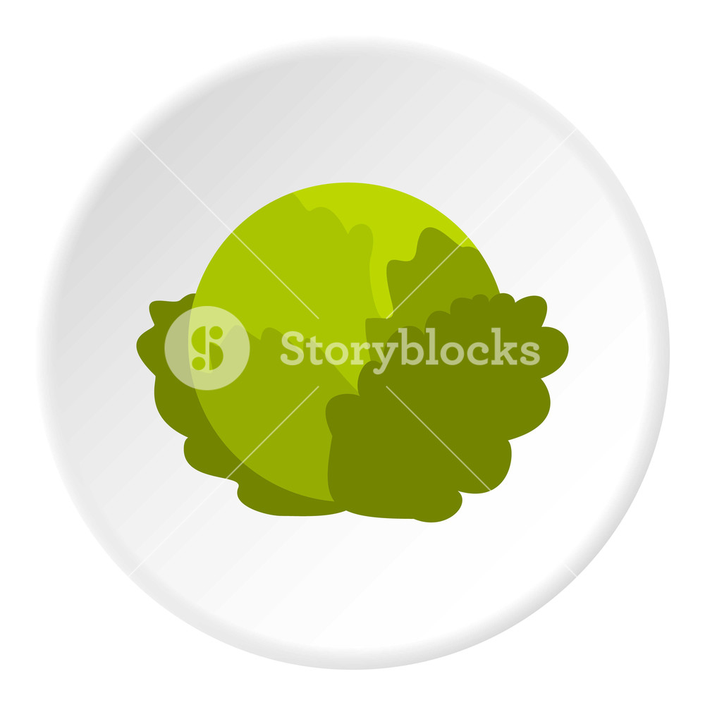 1000x1000 Cabbage Icon Flat Illustration Of Cabbage Vector Icon For Web