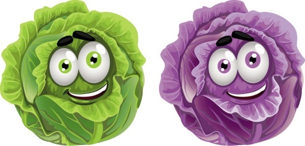 600x289 Cabbage Vector Free Vector Download