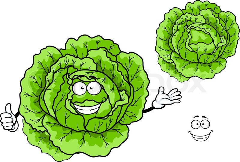 800x540 Happy Fresh Green Cartoon Cabbage Stock Vector Colourbox