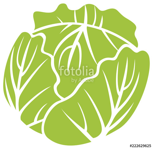 500x487 Green Cabbage Vector Icon Stock Image And Royalty Free Vector