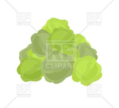 400x364 Bunch Cabbage Vector Image Of Food And Beverages Popaukropa