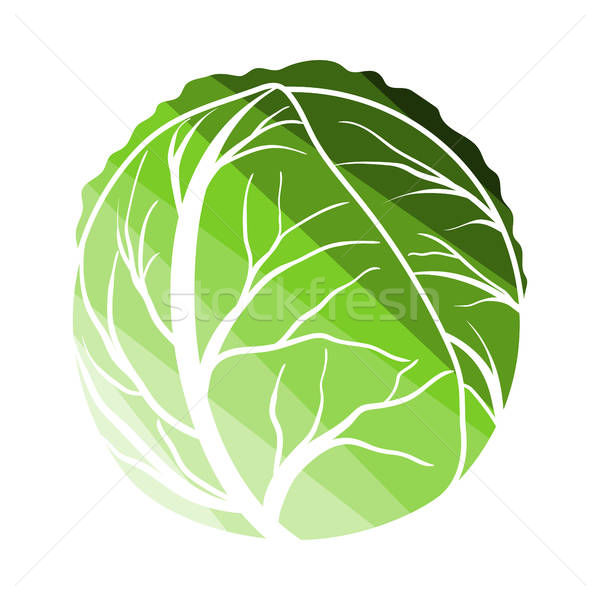 600x600 Cabbage Stock Vectors, Illustrations And Cliparts