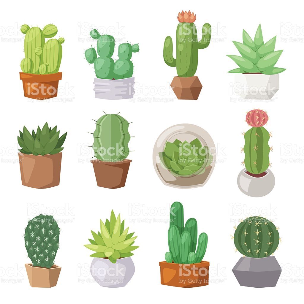 Green Desert Plant Nature Cartoon Cactus And Mexican Summer Cute 1024x1024 Green Desert Plant Nature Cartoon Cactus And Mexican Summer Cute