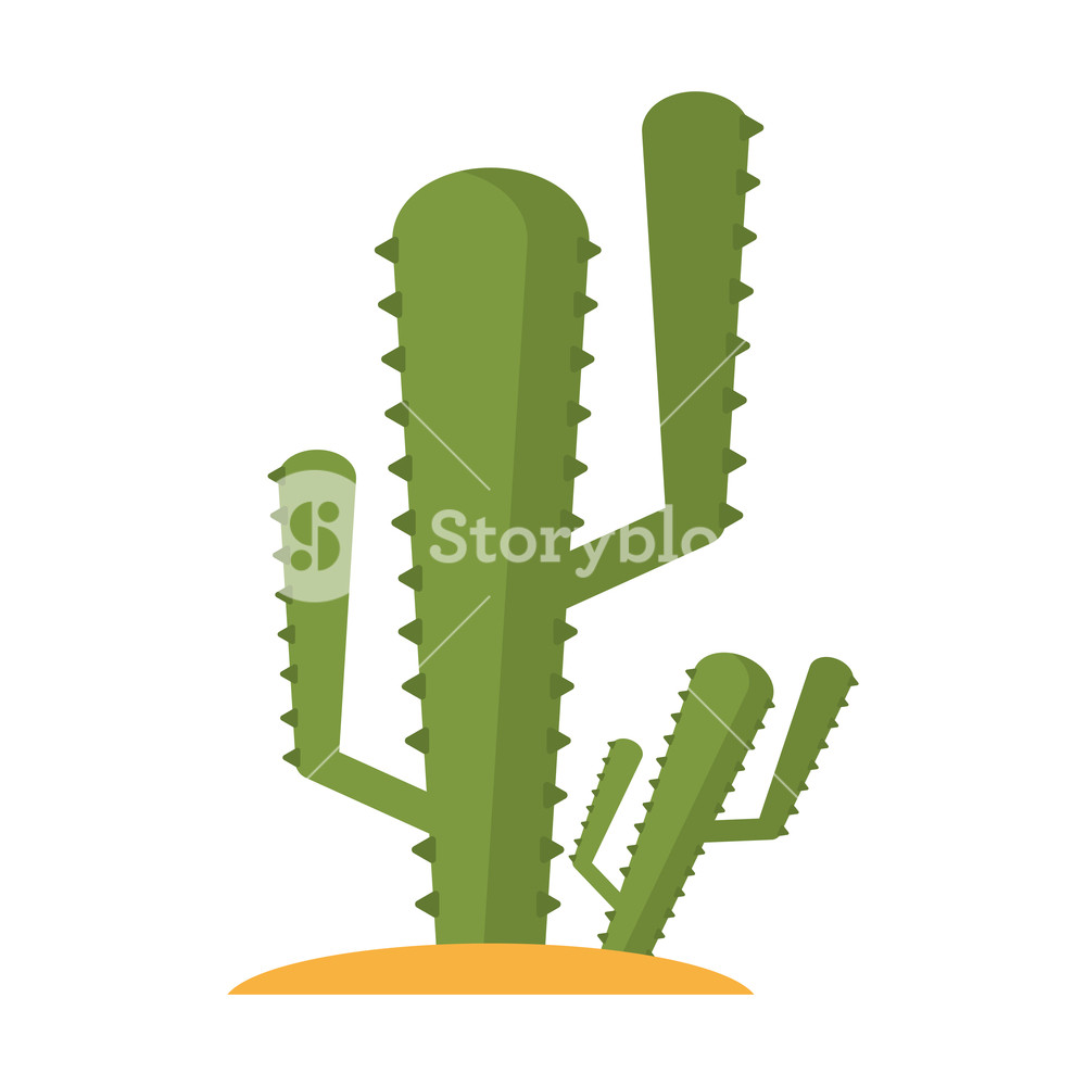 Cactus Desert Plants Cartoon Vector Illustration Graphic Design 1000x1000 Cactus Desert Plants Cartoon Vector Illustration Graphic Design