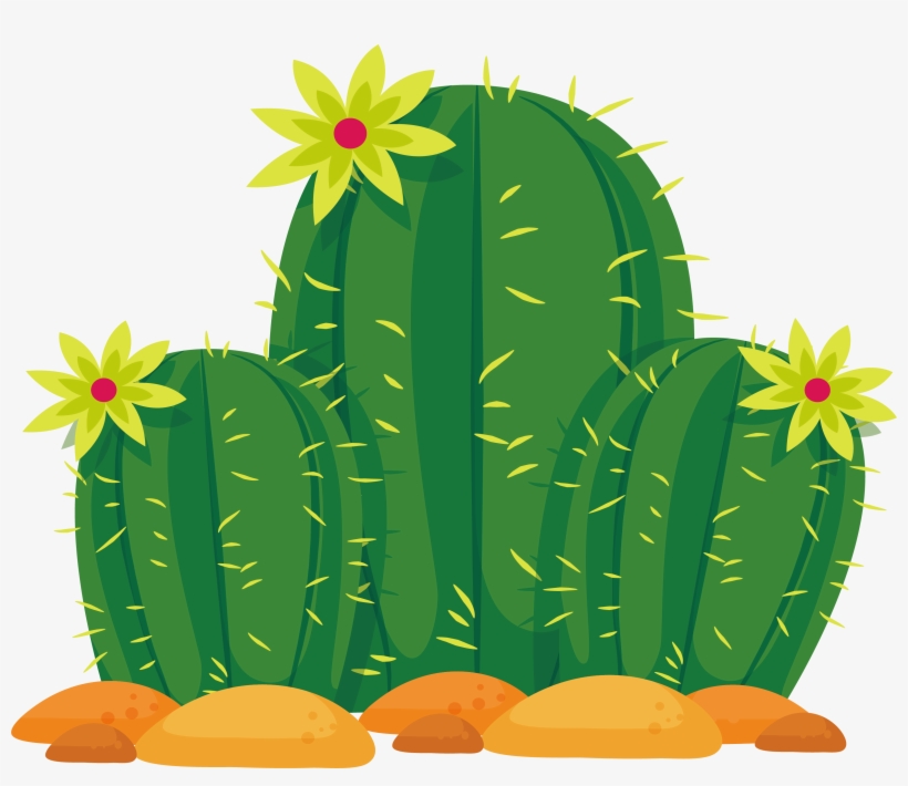 Cactus Vector Png Download Transparent Cactus Vector Png Images 820x710 Cactus Vector Png Download Transparent Cactus Vector Png Images