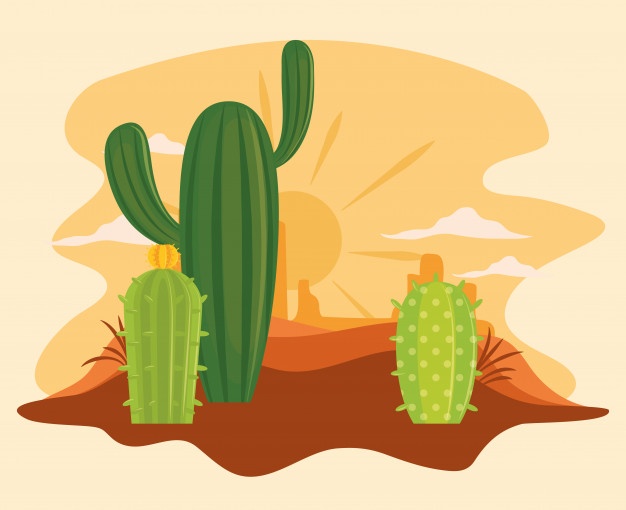 Cactus Vectors, Photos And Free Download 626x510 Cactus Vectors, Photos And Free Download