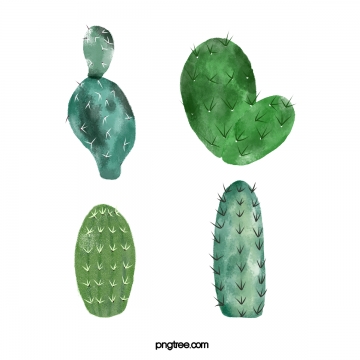 360x360 Cactus Clipart Png, Vector, And Clipart With Transparent