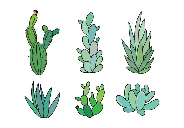 700x490 Cactus Free Vector Art