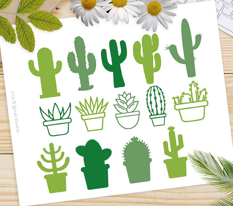 794x701 Cactus Cactus Clipart Cactus Vector Cactus Dxf Cactus Etsy